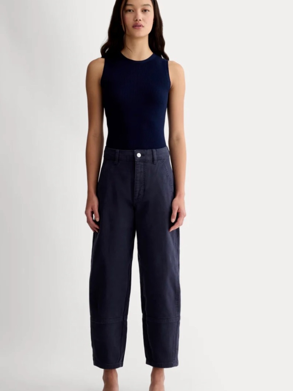 Everlane Utility Barrel Pant